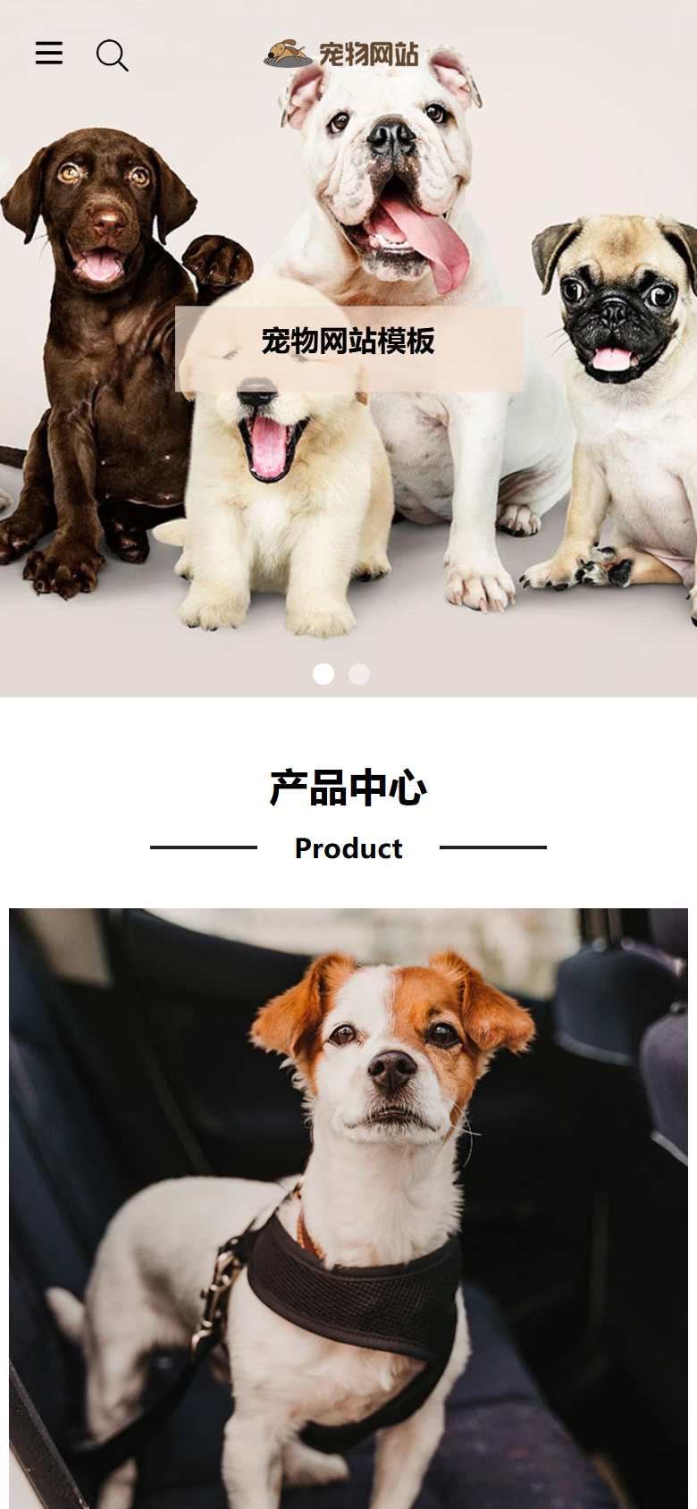 白色宠物行业企业官网