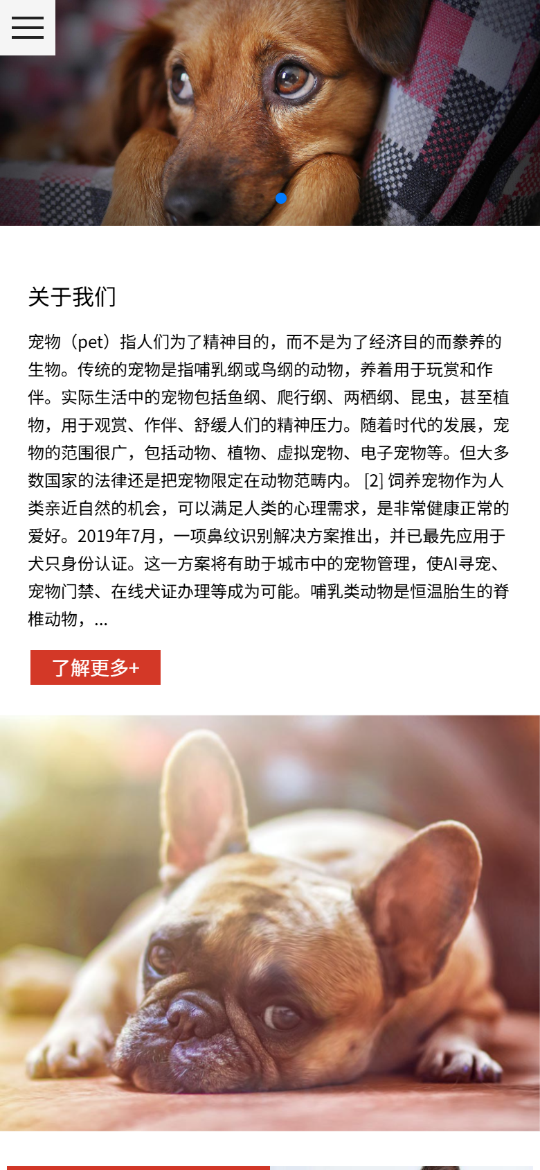 宠物食品企业官网，红色简洁